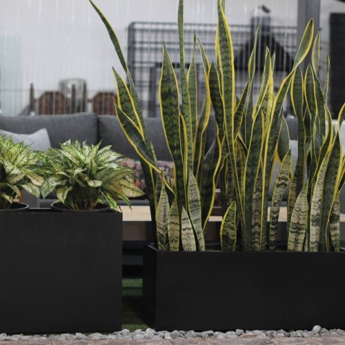 20220805182037_IMG_8285